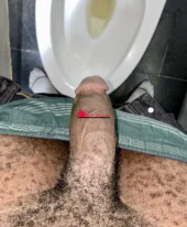 Désires