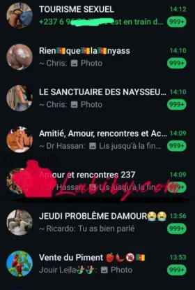 🛑Groupes WhatsApp des libertines mature sérieuse en chaleur