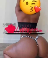 Bibibae