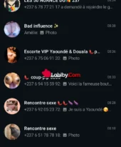 Groupes WhatsApp disponible