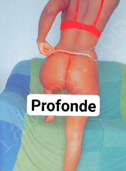 Cc vien juir